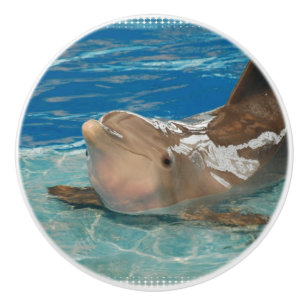 Balansera delfinen knopp