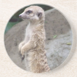 Balanserad Meerkat kustfartyg Underlägg Sandsten
