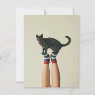 Balanserande katt på strimlade socklar, katttäcke vykort