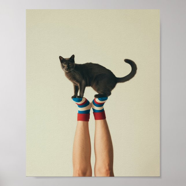 Balanserar katt på strimlade socklar, svart katt poster (Framsidan)