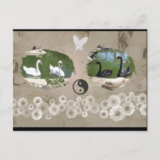 Balansvykort för svan vykort