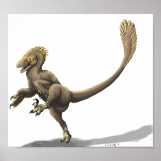 Balaur Bondoc-utskrift Poster