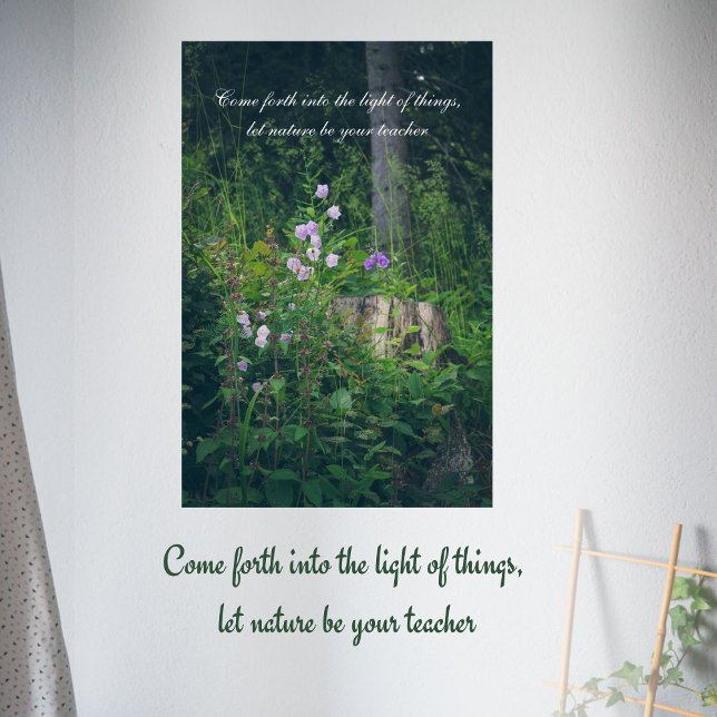 Bälblommor i skogen poster (Skapare uppladdad)