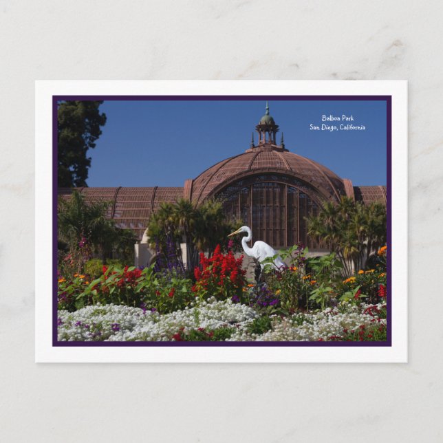 Balboa Park Botanical Byggnad Egret Flowers Ram Vykort (Framsida)