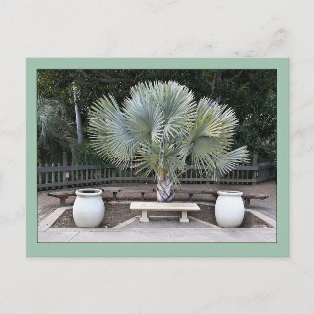 Balboa Park Scene Reminiscent of Maxfield Parrish Vykort (Framsida)