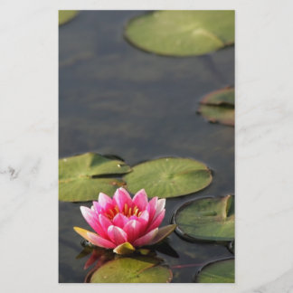 balboaen parkerar den stationära liljan brevpapper