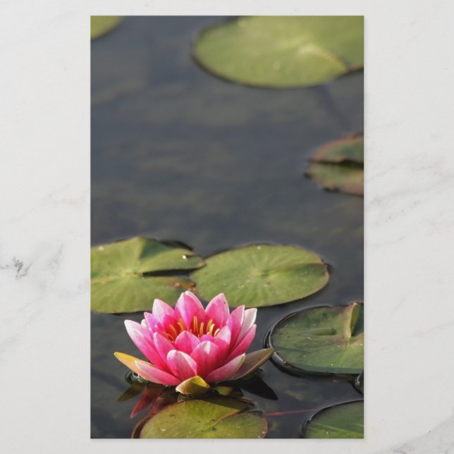 balboaen parkerar den stationära liljan brevpapper (Framsida)