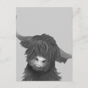 Balck- och White Highland Cow Vykort