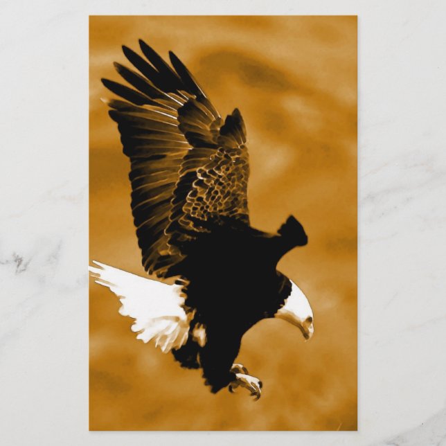Bald American Eagle (Framsida)
