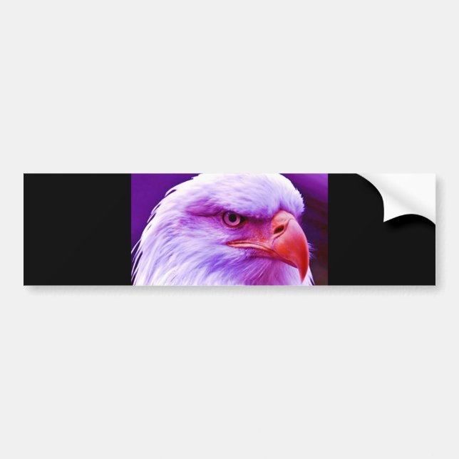 Bald American Eagle Bildekal (Framsidan)