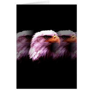 Bald American Eagle Hälsningskort
