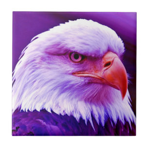 Bald American Eagle Kakelplatta