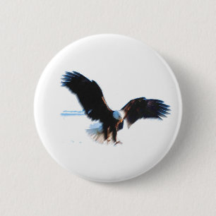 Bald American Eagle Landing Knapp