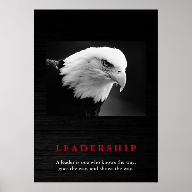 Bald American Eagle Leader Poster (Framsidan)