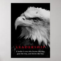 Bald American Eagle Leaeness