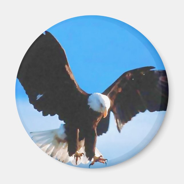 Bald American Eagle Magnet (Framsidan)