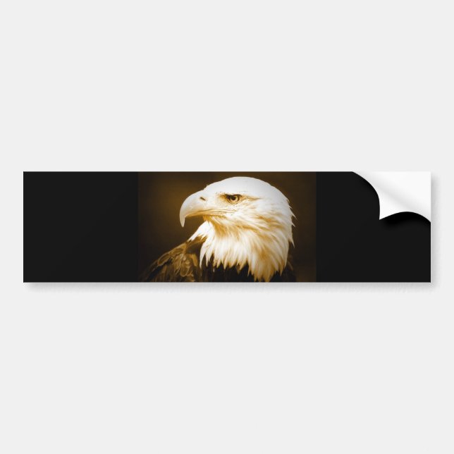 Bald American Eagle Öga Bildekal (Framsidan)
