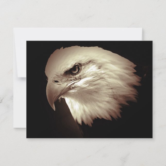 Bald American Eagle Öga Inbjudan (Framsida)
