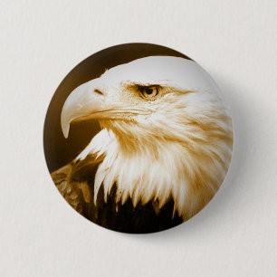 Bald American Eagle Öga Knapp
