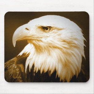 Bald American Eagle Öga Musmatta