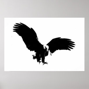 Bald American Eagle Poster Poster  för utskrift av