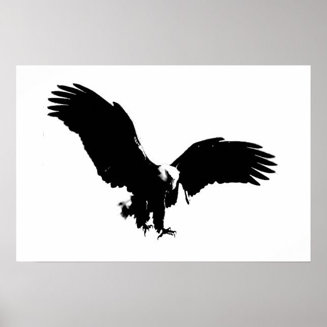 Bald American Eagle Poster Poster  för utskrift av (Framsidan)