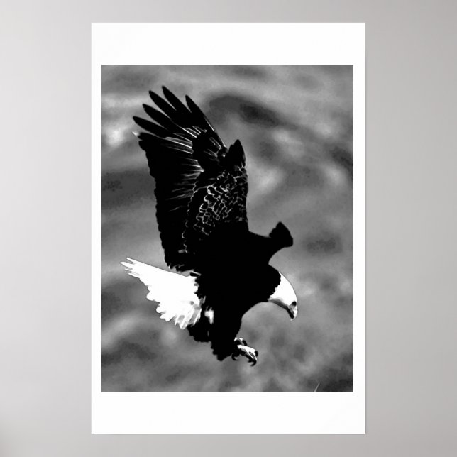 Bald American Eagle Poster Poster  för utskrift av (Framsidan)