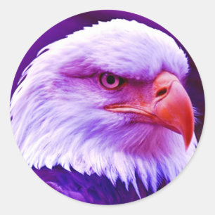 Bald American Eagle Runt Klistermärke