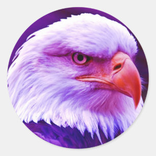 Bald American Eagle Runt Klistermärke