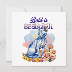 Bald är vacker   Hårlöst katt