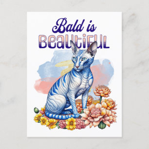 Bald är vacker Hårlöst katt Vykort