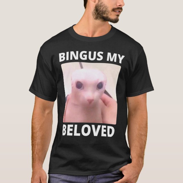 Bald Bingus Min halvårslösa sfinxkatt T Shirt (Framsida)
