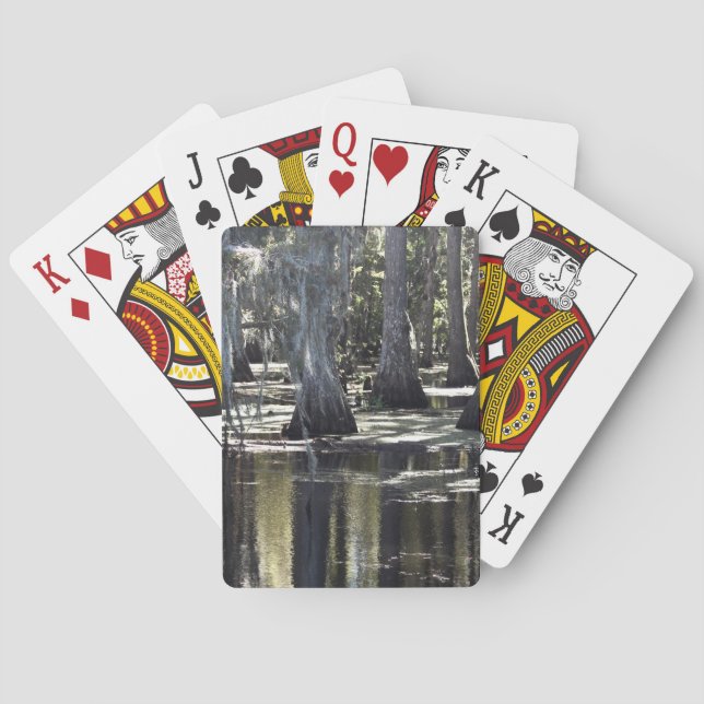 Bald Cypress Casinokort (Baksidan)