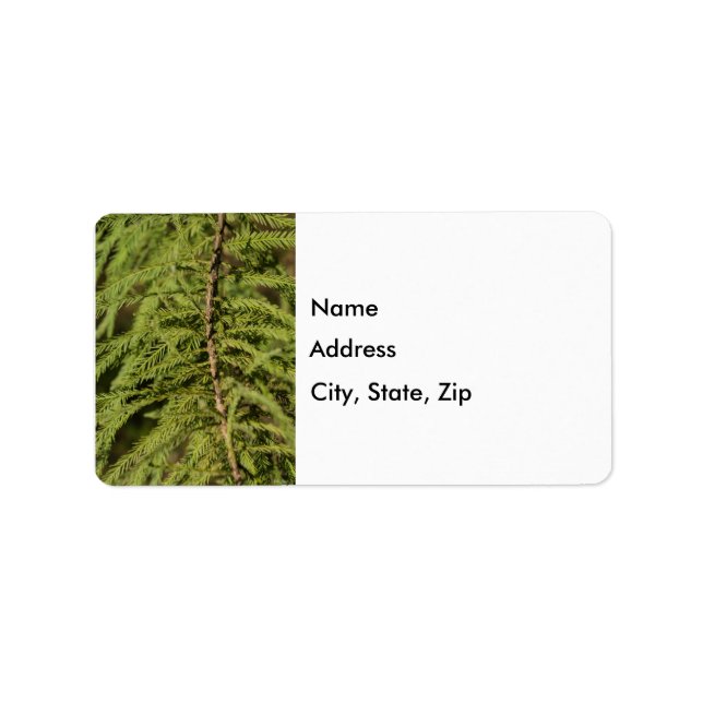 Bald Cypress Gren Adressetikett (Framsidan)