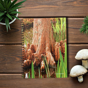 Bald Cypress Knees Anteckningsbok Med Spiral