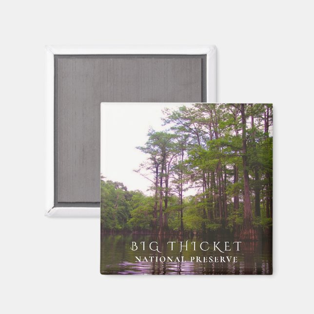 Bald Cypress Swamp, Big Thicket National Preserve Magnet (Front/Back)