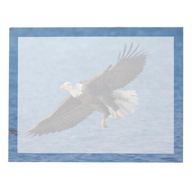 Bald eagle in flight anteckningsblock (Framsida)
