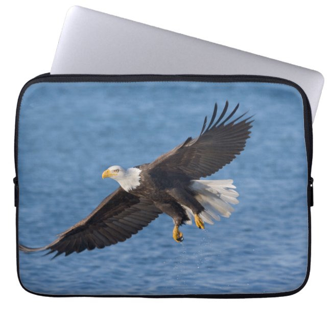 Bald eagle in flight laptop fodral (Framsidan)
