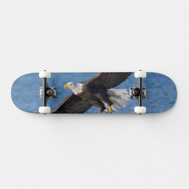 Bald eagle in flight mini skateboard bräda 18,5 cm (Horz)