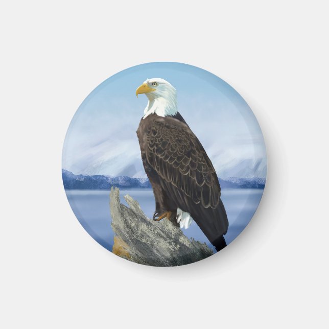 Bald Eagle Magnet (Framsidan)