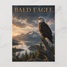 Bald Eagle Mountain Lake DJUR