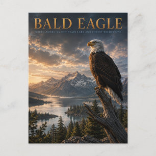Bald Eagle Mountain Lake DJUR Vykort