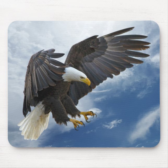 Bald eagle musmatta (Framsidan)