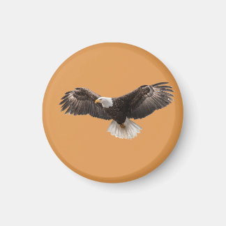  bald eagle pin , commonly sold as  magnet