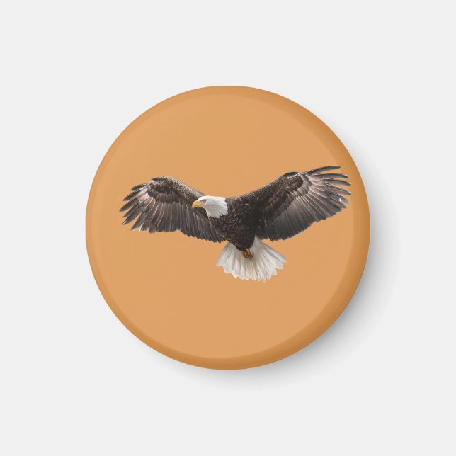  bald eagle pin , commonly sold as  magnet (Framsidan)