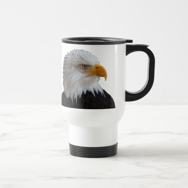 Bald eagle resemugg (Höger)