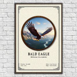 Bald Eagle Zoology Series Poster