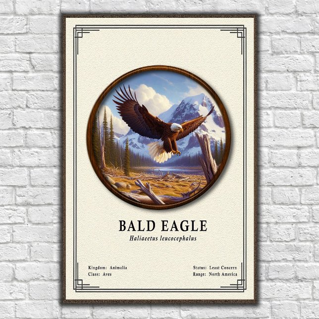 Bald Eagle Zoology Series Poster (Skapare uppladdad)