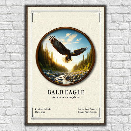 Bald Eagle Zoology Series Poster