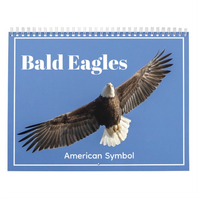 Bald Eagles, American Symbol Calendar Kalender (Omslag)